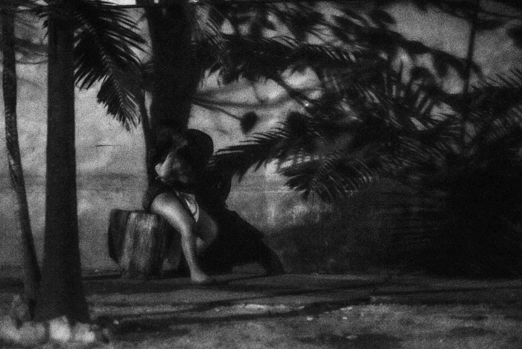 A figure among palm-tree shadows.