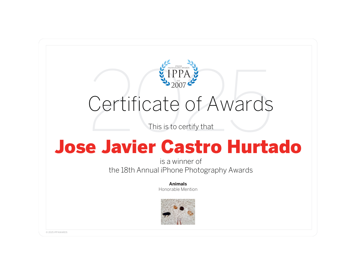 Honorable Mention certificate, Animals category, IPPAWARDS 2025: Jose Javier Castro